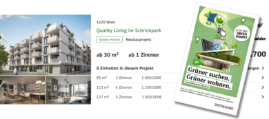 Green Homes: Warum nachhaltiges Bauen immer wichtiger wird